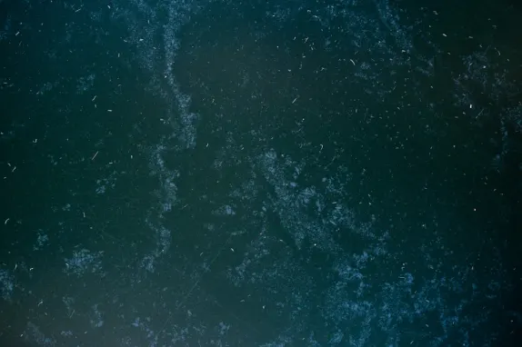 Tournaverse Kazino Pagalba